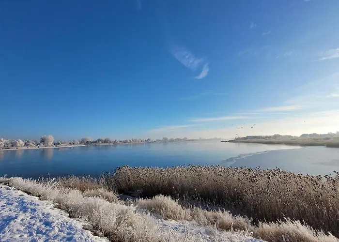 Silva Caloroczny Na Wyspie Sobieszewskiej 公寓 格但斯克