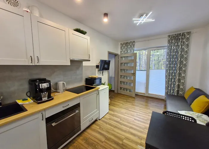 公寓 Silva Caloroczny Na Wyspie Sobieszewskiej