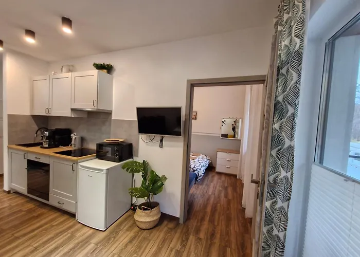 Silva Caloroczny Na Wyspie Sobieszewskiej 格但斯克