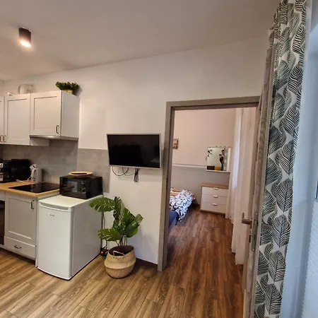 Silva Caloroczny Na Wyspie Sobieszewskiej Danzig